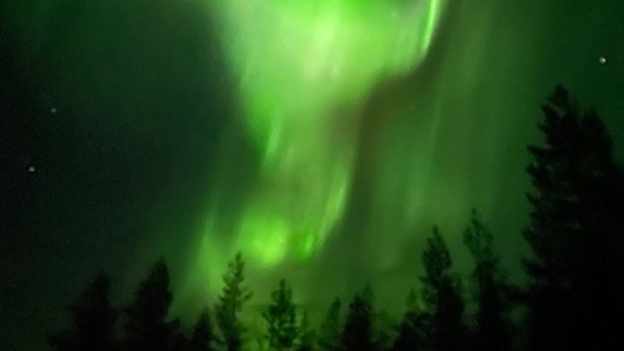 Hyvää Joulunaikaa!